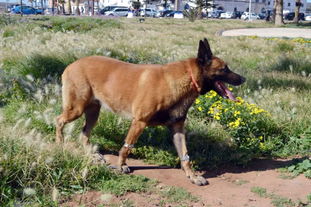 cropped DSC 0430