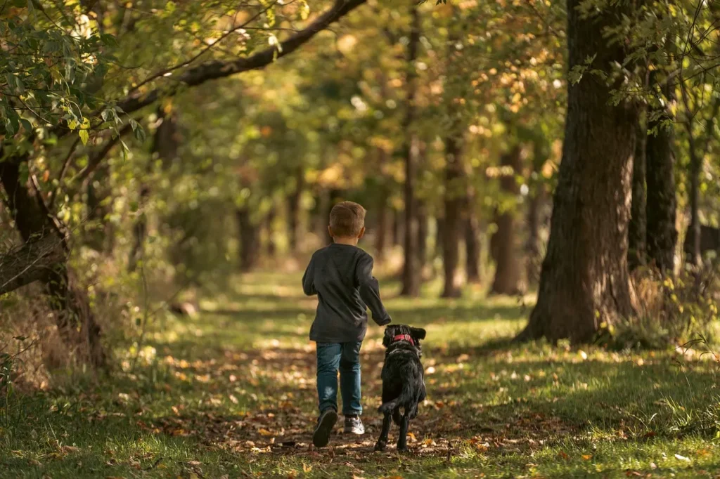 Struggling with jumping, pulling, or poor recall? These Labrador training tips offer simple, science-backed fixes for the most common issues.