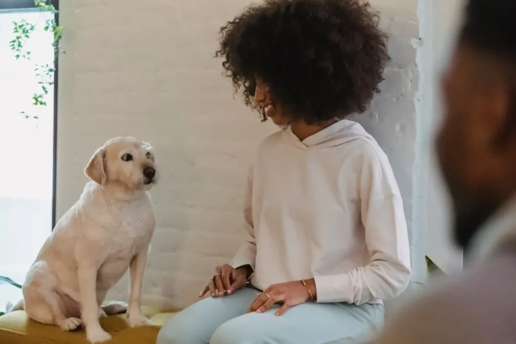 Discover the best food for sensitive stomachs in dogs, from ingredients to avoid to vet-backed formulas that calm digestion and stop tummy troubles for good.