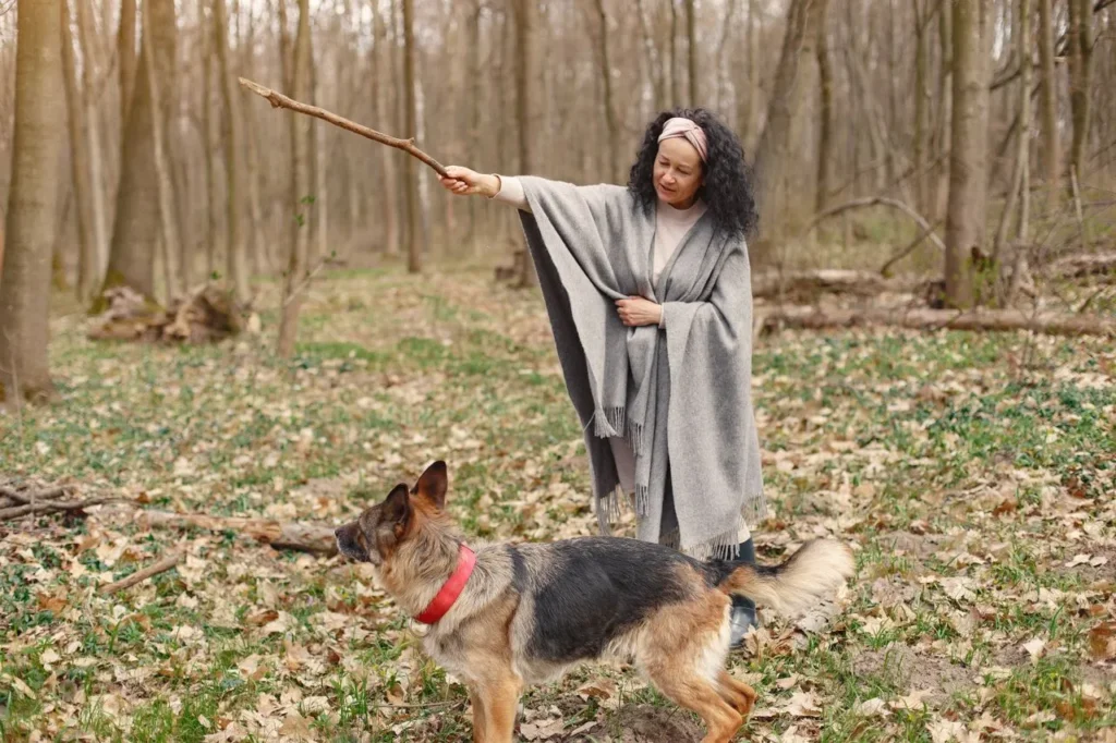 New to recall training? Learn the science-backed, positive-reinforcement approach trainers use to build a dog with reliable off-leash recall