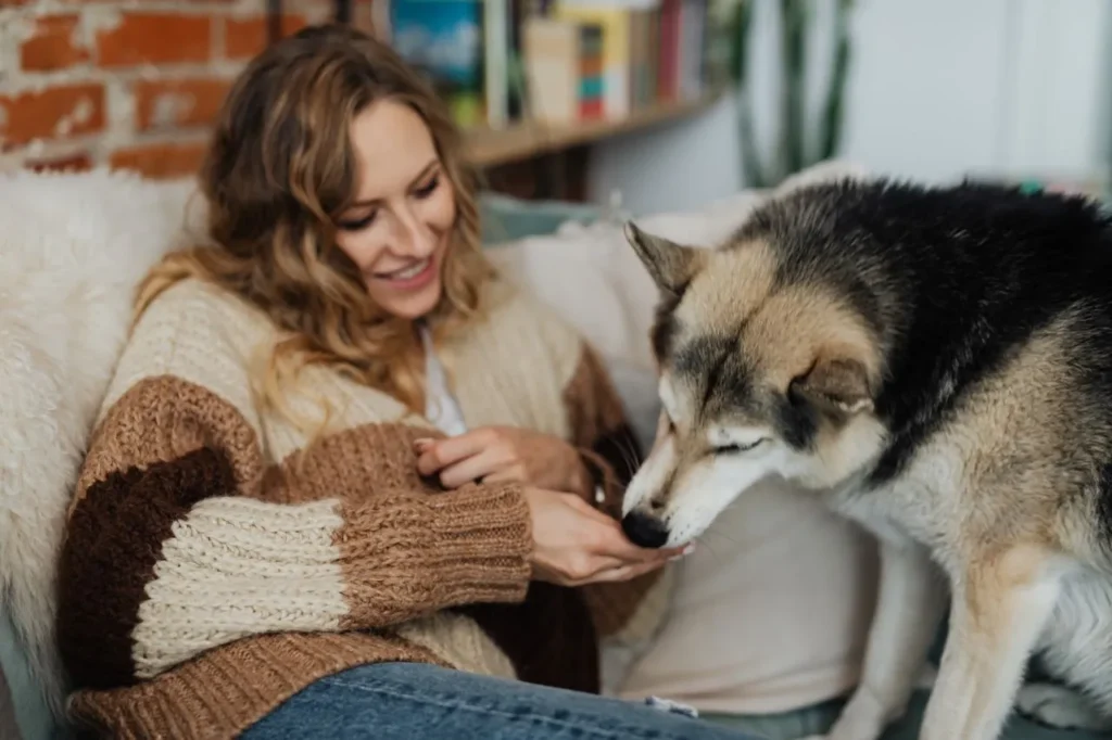 From reading labels to spotting trigger ingredients, here's a simple guide to choosing the best food for sensitive stomachs and keeping your dog comfortable.