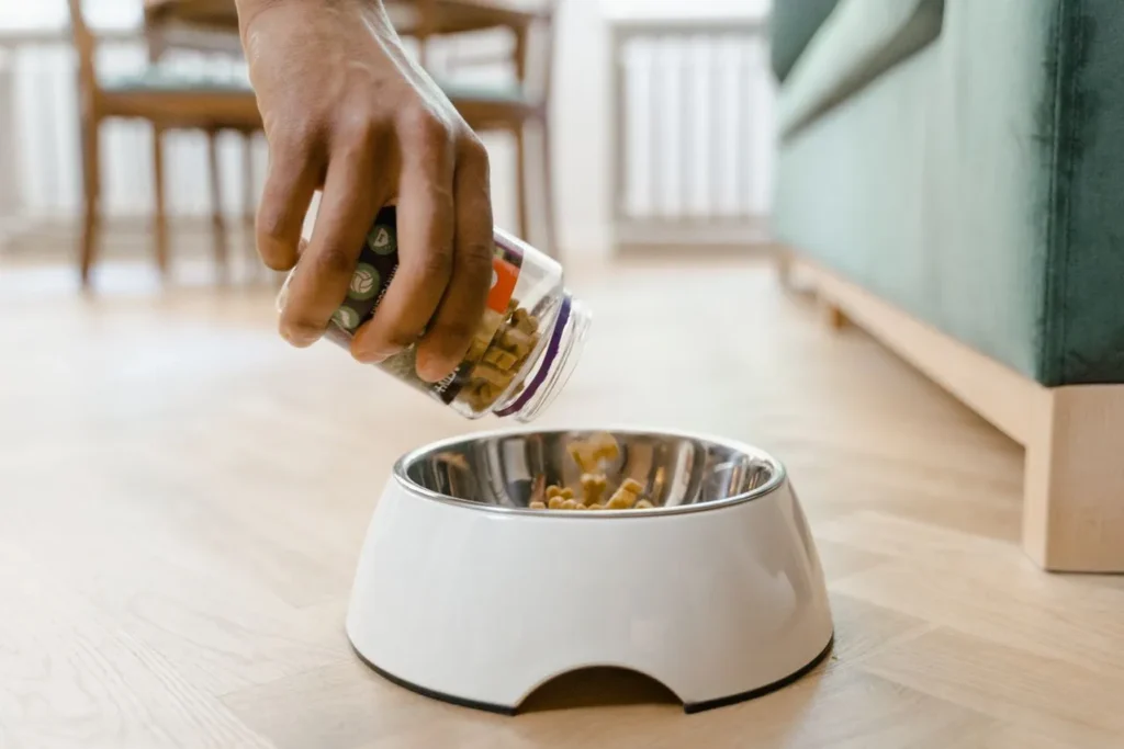 High-protein dog food is everywhere — but does it live up to the hype? We separate fact from fiction and show you how to choose a quality formula.