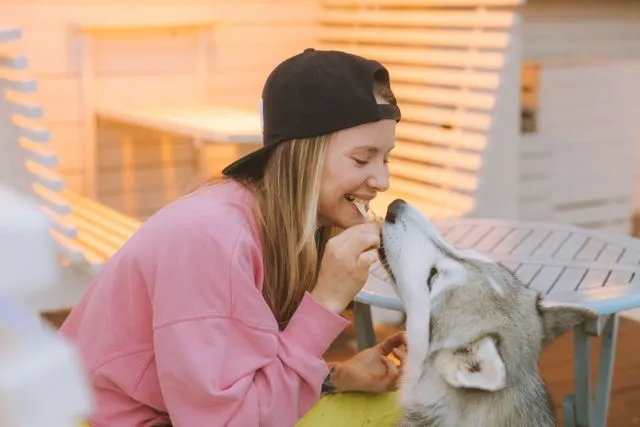 Fresh dog food is one of the fastest-growing pet nutrition trends — but is it right for your dog? Get the honest breakdown on benefits, drawbacks, costs, and what to look for in 2026.